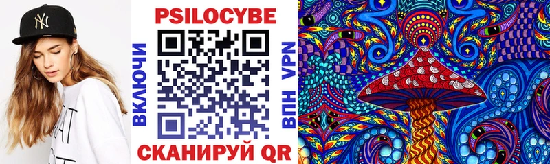 дарк нет как зайти  Вязники  Галлюциногенные грибы Psilocybine cubensis 